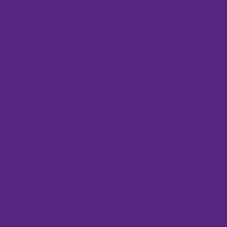 Carica l&#39;immagine nel visualizzatore di Gallery, Ciondolo Viola in fibra di fico d&#39;india
